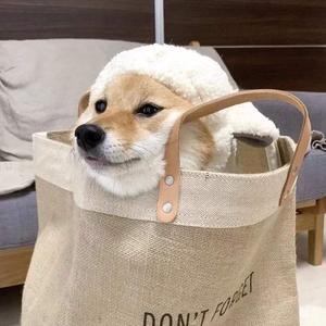 回到童年干回去2集免费观看
